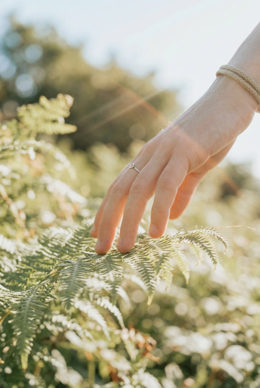 Fingers lightly tracing a plant in the spring