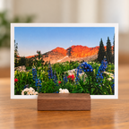 High Meadow alpine wildflower landscape photo print displayed in a wooden stand