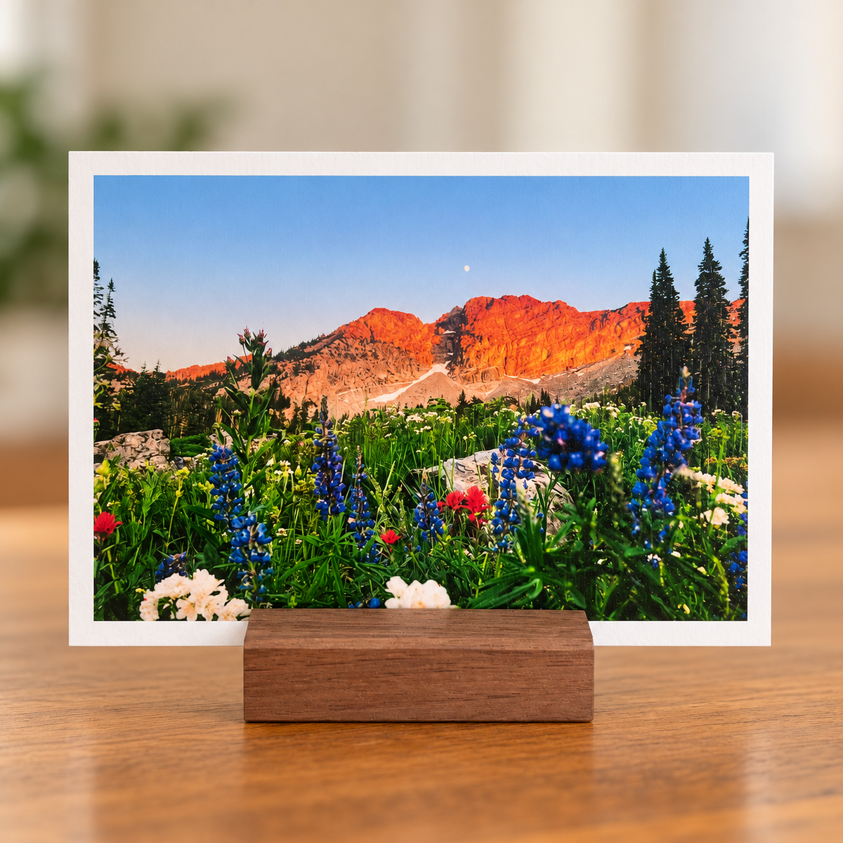 High Meadow alpine wildflower landscape photo print displayed in a wooden stand