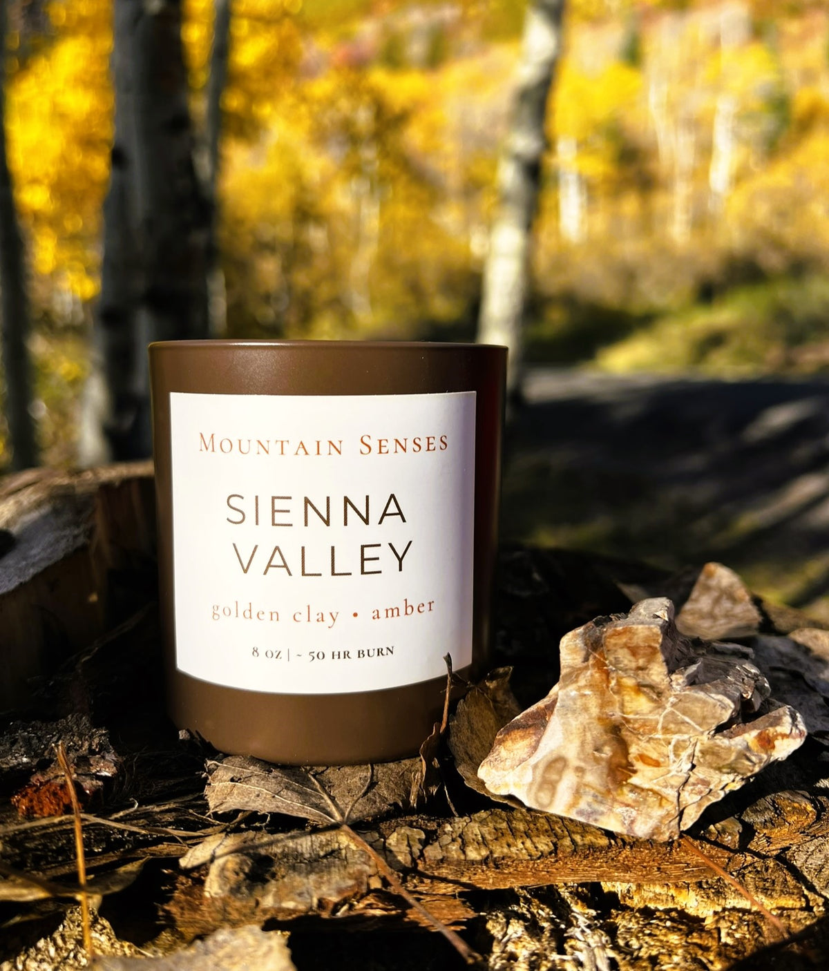 Sienna Valley autumn candle styled with petrified wood; stone not included